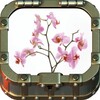Growing Orchids icon