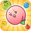 Fruit Fusion Fun 아이콘