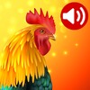 أيقونة Animals: Ringtones