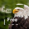 Icono de Nature Free - North America