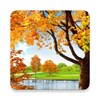 Autumn Pond Live Wallpaper icon