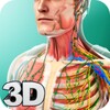 Human Anatomy icon