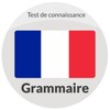 Questionnaire en Grammaire icon