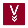 vidland - download any video icon
