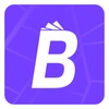 Icono de BipayWallet