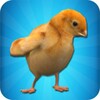 Chick Simulator icon