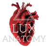 Lux Anatomy icon