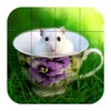 Puzzle - Cute Hamsters icon