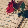 القرآن والمسلم icon