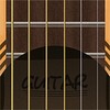 Guitar icon