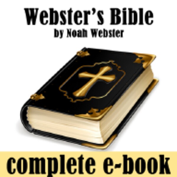 Webster for Android - Download the APK from Uptodown
