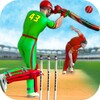 T10 League Cricket Game icon