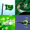 Pakistan Flag Wallpaper: Flags and Country Images icon