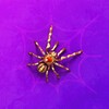 Spider Solitaire icon