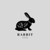 Rabbit VPN – Super Fast Proxy icon