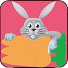 Fast Rabbit icon