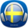 Sweden Radio - Sweden FM AM Online icon