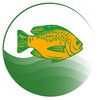 My Fish Manager icon