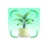 Icono de Plant identify