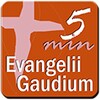 Icône Evangelii Gaudium 5 min