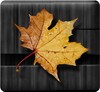 Golden Leaves Live Wallpaper icon