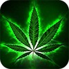 Weed Wallpaper icon