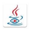 Show Java icon