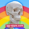 AR Augmented reality Anatomy icon
