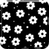 Icona di Cute Wallpaper Daisy Flower