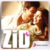 Zid icon