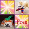 Cute Dog free(Concentration) icon