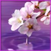 Water Drop. Flowers and Leaves. icon