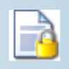 Standalone EXE Locker icon