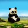 Animated Panda Live Wallpaper icon