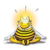 BeeZone icon