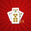 Икона Scopa 15