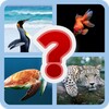 Икона GUESS THE IMAGE