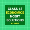 Class 12 Economics NCERT Solutions icon