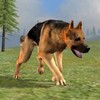 أيقونة Wild Dog Survival Simulator