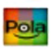 Pola icon