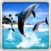 Dolphin HD Live Wallpaper icon