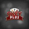 Okey Plus icon
