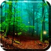 Forest Live Wallpaper icon