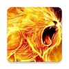 Lion Wallpaper icon