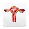 Diet & Help for Uterine Fibroids icon