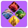 PicPuzzle: 4 Pictures 1 Word icon