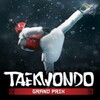 Icona di Taekwondo