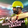 Real World: Crickets Games 2024 icon