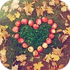 Icon von Apple Heart Theme