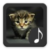 Kitten Sounds icon